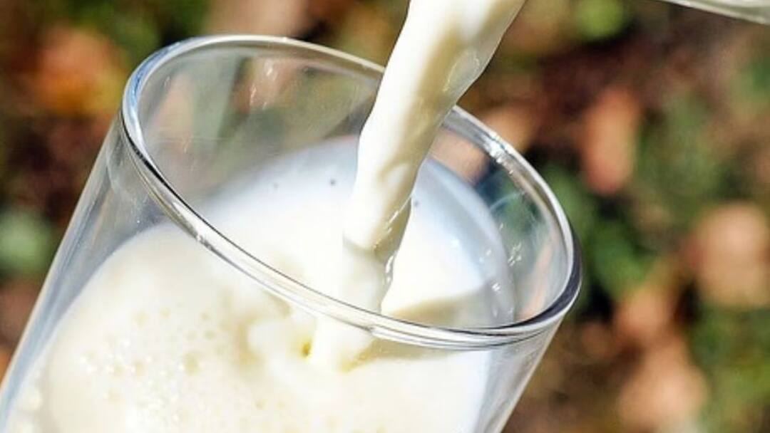 FDA finds fragments of bird flu virus in pasteurised milk Bird Flu in MIlk: పాలల్లో బర్డ్‌ఫ్లూ అవశేషాలు, భయపెడుతున్న కొత్త రిపోర్ట్