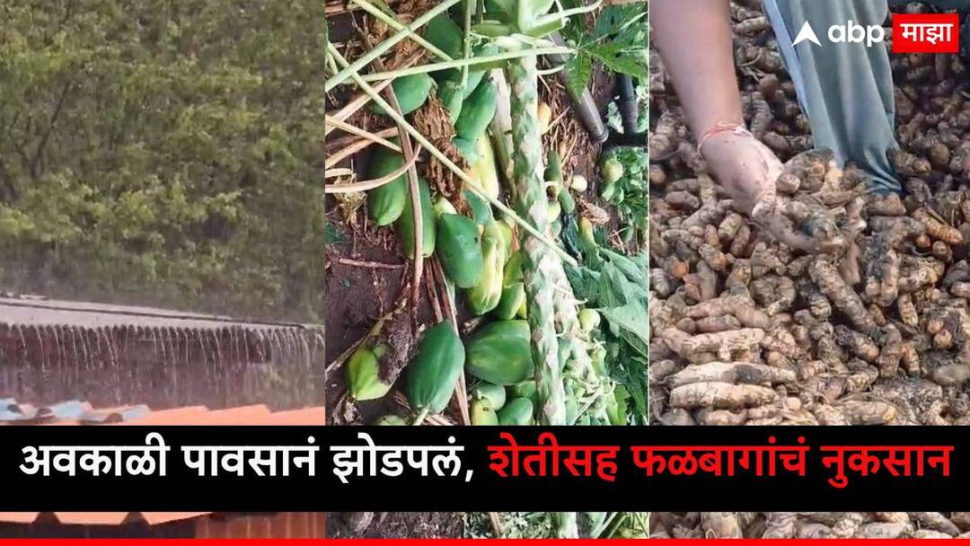 Maharashtra Weather Report : कोकण, विदर्भाला अवकाळी पावसानं झोडपलं; भात शेतीसह फळबागांचं नुकसान Maharashtra Weather Report Unseasonal Heavy Rain in Kokan ratnagiri raigad satara buldhana hailstrom in hingoli IMD forecast marathi news Maharashtra Weather Report : कोकण, विदर्भाला अवकाळी पावसानं झोडपलं; भात शेतीसह फळबागांचं नुकसान