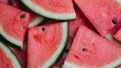 Summer Care : வயிற்றை குளிர்ச்சியாக வைத்துக்கொள்ள இந்த உணவுகளை சாப்பிடுங்க!