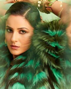 Shehnaaz Gill: शहनाज गिलचा किलर लूक, दिसतेय झकास!