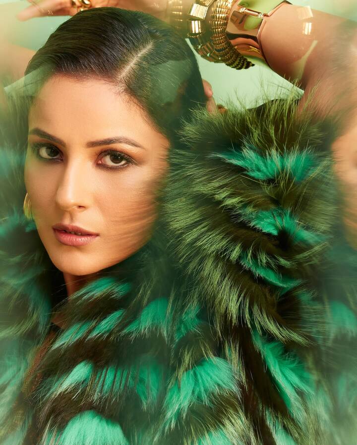 गेल्या काही दिवसांपासून शहनाज गिल एका नव्या अवतारात दिसत आहे.