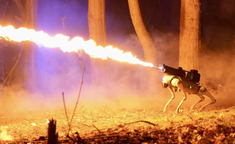 Flame-throwing robot dog available for purchase in US Firethrow Robodog: ਅਮਰੀਕਾ ਨੇ ਬਣਾਇਆ ਅੱਗ ਉਗਲਣ ਵਾਲਾ ਖਤਰਨਾਕ ਰੋਬੋਡੌਗ, ਸਾਹਮਣੇ ਆਉਣ 'ਤੇ ਕਰ ਦਿੰਦਾ ਸਭ ਸੁਆਹ, ਦੇਖੋ ਤਸਵੀਰਾਂ