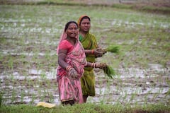 PM Kisan Yojana: किसान योजना से जुड़े सवालों का जवाब देंगे मुखिया जी, चौपाल पर होगी चर्चा