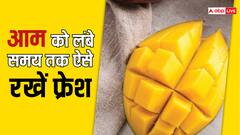 Mango: जल्दी खराब होने लगते हैं आम, तो इस तरह स्टोर करके रखें लंबे समय तक फ्रेश