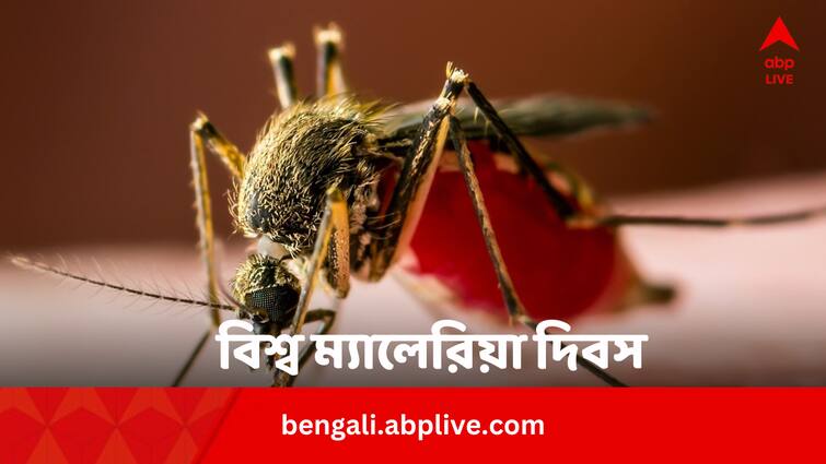 World Malaria Day 2024 Know How Africa’s Day Convert Into International Day Bengali News World Malaria Day 2024: বিশ্ব ম্যালেরিয়া দিবসের নেপথ্য়ে বড় ভূমিকা ছিল আফ্রিকার, কীভাবে শুরু দিনটি ?