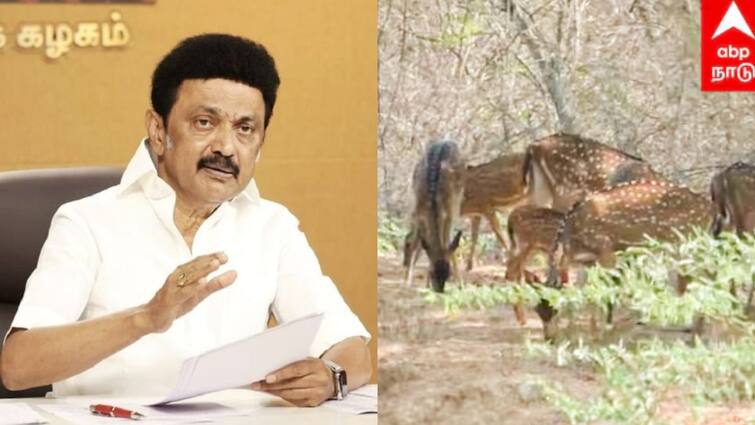 Chief Minister Stalin's advice to the public about Summer heat and precaution CM Stalin:கொளுத்தும் வெயில்! மக்களுக்கு முதலமைச்சர் அட்வைஸ் - என்ன?