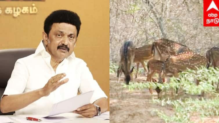 CM Stalin:கொளுத்தும் வெயில்! மக்களுக்கு முதலமைச்சர் அட்வைஸ் - என்ன? Chief Minister Stalin's advice to the public about Summer heat and precaution CM Stalin:கொளுத்தும் வெயில்! மக்களுக்கு முதலமைச்சர் அட்வைஸ் - என்ன?