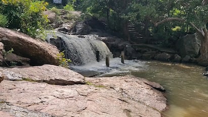 Jawadhu Hills Journey Plan A Day Trip TNN Jawadhu Hills: மன நிம்மதியை தேடி ஒரு பயணம் ஜவ்வாதுமலையில் ஒருநாள்..!