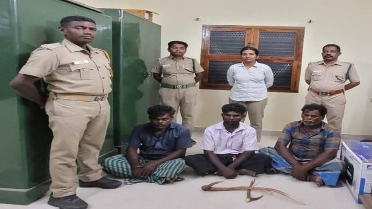 Tenkasi: Action taken against 3 people for poaching wild boar with country bomb தென்காசி: நாட்டு வெடிகுண்டு வைத்து காட்டுப்பன்றியை வேட்டையாடிய 3 பேர் மீது நடவடிக்கை..!