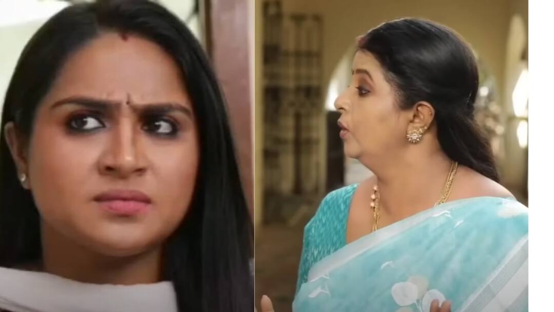 Siragadikka Aasai Serial: உப்பில்லாத சாப்பாட்டை சாப்பிட சொல்லும் விஜயா..கடுப்பில் ரோகிணி - சிறகடிக்க ஆசையில் இன்று!
