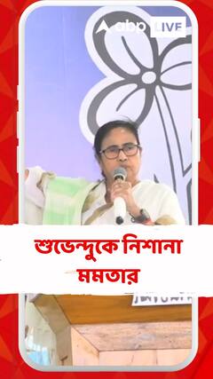 'তৃণমূল থেকে বিজেপিতে গেল কেন, টাকা রক্ষা করার জন্য', আক্রমণ মমতার