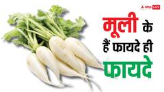 Raddish Benefits: कैंसर से लेकर डायबिटीज तक का रिस्क घटाती है मूली, जानें इसके 5 जबरदस्त फायदे