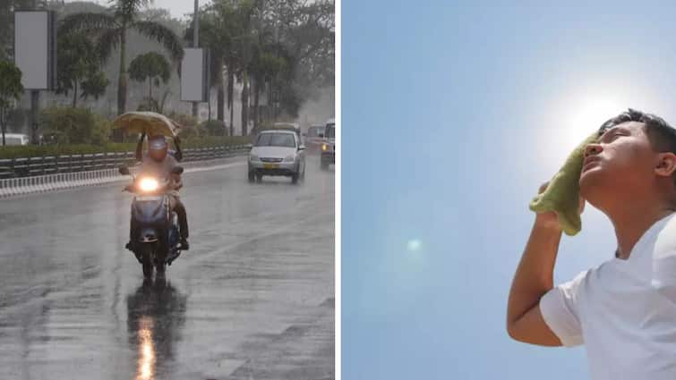 Tamil Nadu Meteorological Department has said that Kanyakumari and Tirunelveli districts are likely to receive rain for the next few days TN Weather Update: குமரி, நெல்லையில் மழைக்கு வாய்ப்பு.. பிற மாவட்டங்களில் என்ன நிலவரம்? - வானிலை ரிப்போர்ட்