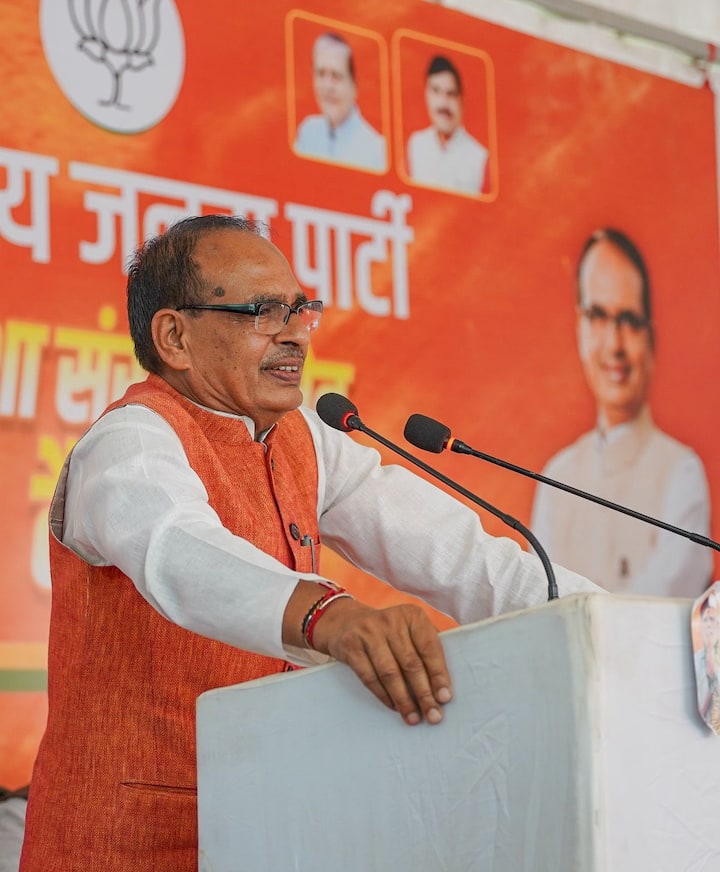 मध्यप्रदेश में तीसरे चरण में 7 मई को विदिशा लोकसभा सीट पर वोट डाले जाएंगे. इस दिन शिवराज सिंह चौहान समेत कई दिग्गजों की किस्मत ईवीएम में कैद हो जाएगी.(फाइल फोटो)