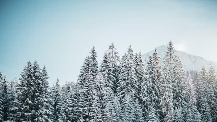 मनाली में कई सुंदर जगहें हैं जो कपल के लिए बहुत अच्छी है. जैसे कि मशहूर रोहतांग पास, गुलाबा, कोठी, राफला झरना.