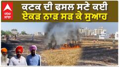 Amritsar wheat Fire| ਕਣਕ ਦੀ ਫਸਲ ਸਣੇ ਕਈ ਏਕੜ ਨਾੜ ਸੜ ਕੇ ਸੁਆਹ