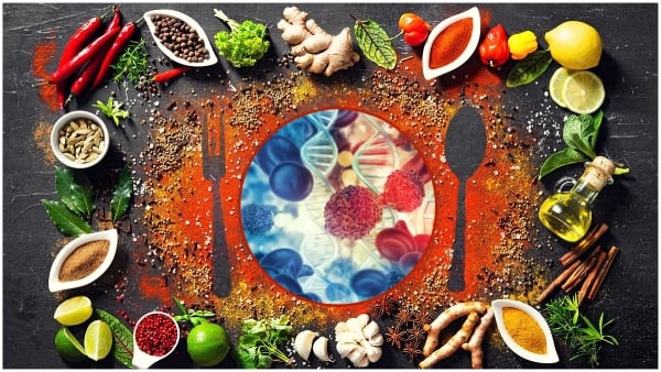 Cancer Causing Chemical Found in 527 Indian Food Items  Food Items: ਵਿਦੇਸ਼ਾਂ 'ਚ ਵੱਡਾ ਖੁਲਾਸਾ, ਭਾਰਤ ਦੀਆਂ 527 ਚੀਜ਼ਾਂ 'ਚ ਮਿਲਿਆ ਕੈਂਸਰ ਵਾਲਾ ਕੈਮੀਕਲ, ਡ੍ਰਾਈ ਫਰੂਟ ਵੀ ਨਹੀਂ ਸੇਫ਼