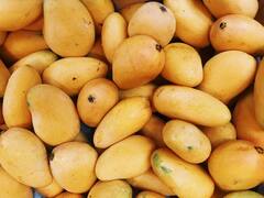 Mangoes : மாம்பழத்தை ஊறவைத்து சாப்பிடுவதன் அவசியம் என்ன?