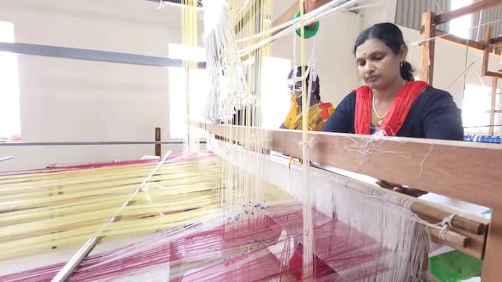 Kanchipuram Pattu : இயற்கை சாயத்தை தயார் செய்வதற்கு மாதுளை பழம் பட்டை, மாதுளம் பூக்கள், கடுக்காய் தோல், படிகாரம் ,வெங்காயம் தோல் ஆகியவை பயன்படுத்தப்படுகின்றன.