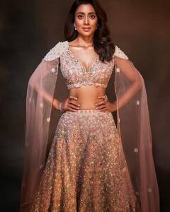 Shriya Saran Latest Photos : శ్రియా శరణ్​ ఏంటి AI లెక్క కనిపిస్తుంది.. మేకప్ ఎఫెక్ట్​ అనుకుంటా