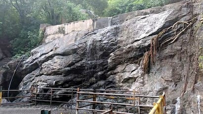 Theni News Suruli Waterfalls looks dry due to scorching summer sun - TNN Suruli Falls:கொளுத்தும் கோடை வெயில் வறண்டு காணப்படும் சுருளி அருவி - சுற்றுலா பயணிகள் ஏமாற்றம்