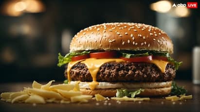 lifestyle discover the history of burgers on International Burger Day try these 5 delicious burgers International Burger Day 2024 : બર્ગરના ઇતિહાસ વિશે જાણો, આ 5 અદભૂત બર્ગર છે જે તમારે એકવાર તો ખાવા  જ જોઈએ.