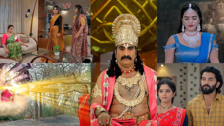 naga panchami serial today april 25th episode written update in telugu Naga Panchami Serial Today April 25th: 'నాగ పంచమి' సీరియల్: గురుడ రాజు నుంచి శక్తులు పొందిన కరాళి.. పంచమికి స్కానింగ్ చేయించనున్న వైదేహికి ఆ నిజం తెలిస్తే!