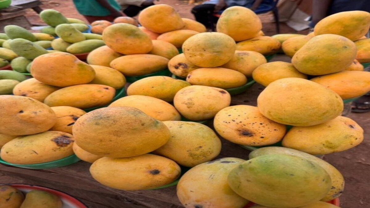 How to Choose Mango : ”நீங்கள் மாம்பழ பிரியரா? மாம்பழத்தை எப்படி பார்த்து வாங்க வேண்டும் தெரியுமா?” உணவுத் துறை அதிகாரிகள் தரும் டிப்ஸ்..!