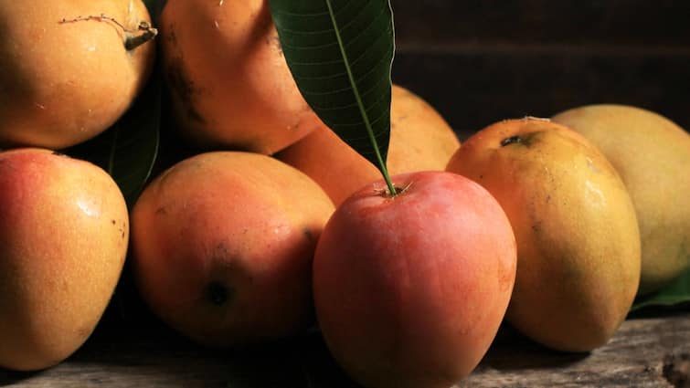 The most expensive and rare mango varieties in India worlds most expensive mango costing up to Rs 2 lakh per kg Indias Most Expensive Mango Varieties : వామ్మో, ఈ మామిడి పండ్ల ధర రూ.2 లక్షలా? కుమారి ఆంటీ కర్రీ రేట్లే బెటర్!