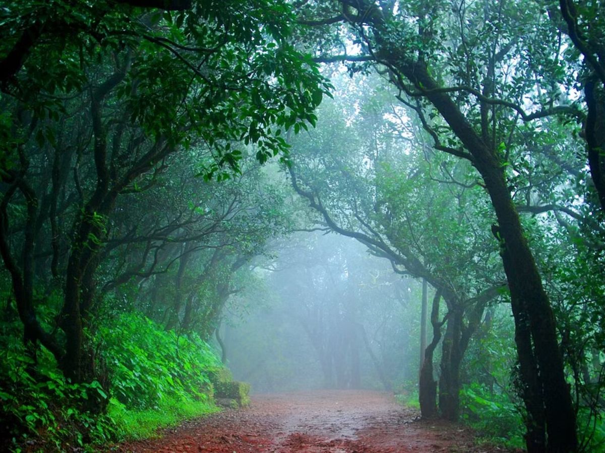 Travel : आता विचार कसला..! उन्हाळ्यात फिरण्यासाठी महाराष्ट्रात 'या' हून Best ठिकाण नाही.. मुंबई, पुण्यापासून जवळचे 'हिल स्टेशन