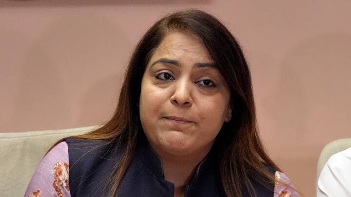 एमसीडी की मेयर शैली ओबेरॉय ने आरोप लगाते हुए कहा कि एलजी के पास फाइल पहले ही पहुंच जाती है और UD मंत्री सौरभ भारद्वाज के पास नहीं जाती है.(फाइल)