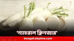 Raddish Benefits: 'ন্যাচরাল ক্লিনজার', ক্যানসারের ঝুঁকি কমায়; কেন নিয়মিত খাবেন মূলো ?