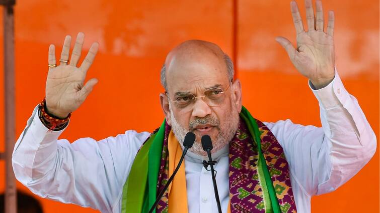 Congress Treated Article 370 Like Its Own Kid: Amit Shah Blames Oppn ...