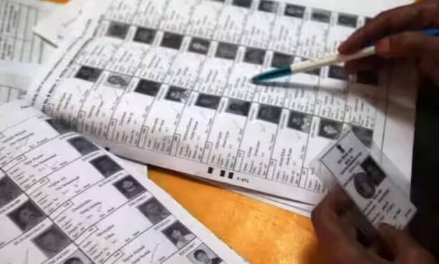 જ્યારે તમે મતદાન કરવા માટે મતદાન મથક પર જઈ રહ્યા છો. તો સૌ પ્રથમ તમારું નામ મતદાર યાદીમાં છે તેની ખાતરી કરો. કારણ કે જો તમારું નામ મતદાર યાદીમાં નહીં હોય તો તમે મતદાન કરી શકશો નહીં.