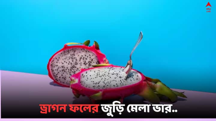 Dragon Fruit Health Benefits:   ড্রাগন ফল আমাদের শরীরের জন্য উপকারি। একাধিক রোগের মুশকিল আসান এই ফল। দেখুন একনজরে..