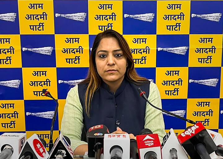 शैली ओबेरॉय ने आगे कहा कि एक दलित को मेयर बनने से रोका गया है. आने वाले लोकसभा चुनाव में इसका असर दिखेगा. (फाइल)