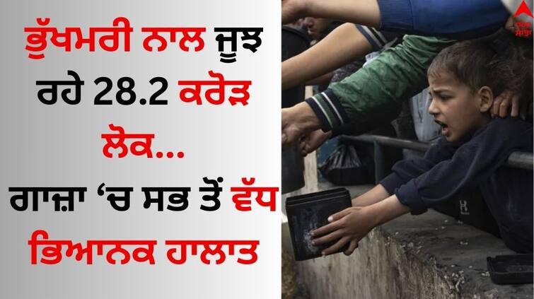 UN report says 282 million people faced acute hunger in 2023 gaza condition is Worse details inside Global Report on Food Crisis: ਭੁੱਖਮਰੀ ਨਾਲ ਜੂਝ ਰਹੇ 28.2 ਕਰੋੜ ਲੋਕ, ‘ਗਲੋਬਲ ਰਿਪੋਰਟ’ 'ਚ ਜਾਣੋ ਹੈਰਾਨੀਜਨਕ ਅੰਕੜੇ