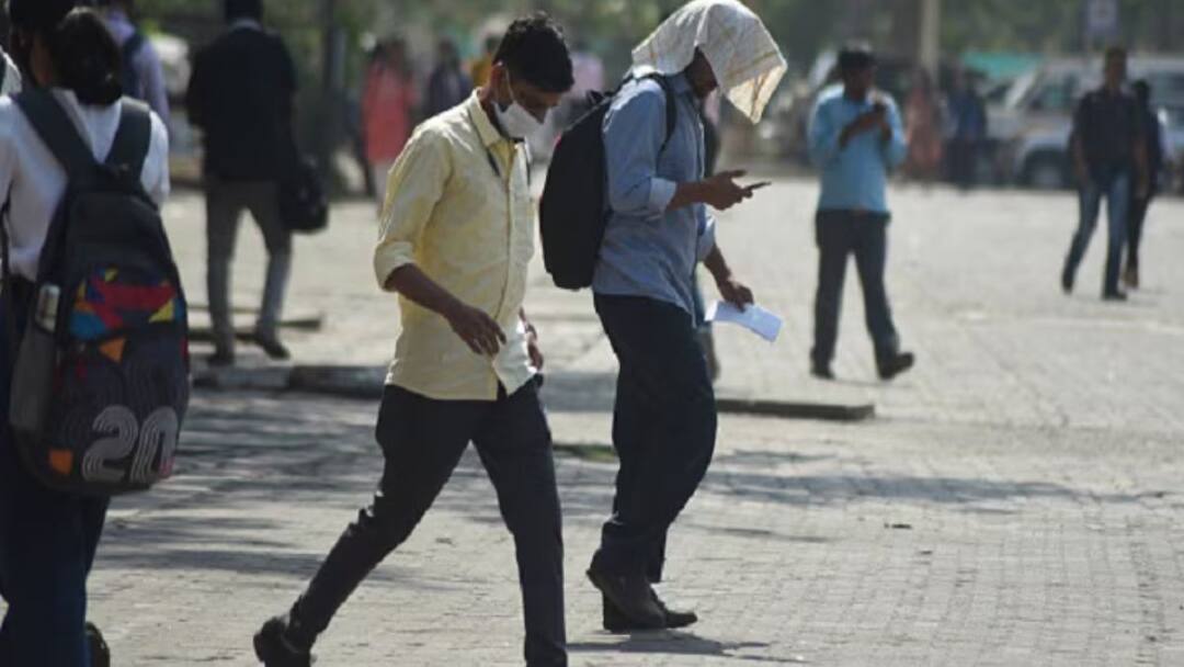 According to the weather department, heat wave will prevail in the interior districts of North Tamil Nadu for the next 5 days TN Weather Update: வெயிலின் கொடூரம்! அடுத்த 5 நாட்களுக்கு வெப்ப அலை இருக்கும்.. 13 மாவட்டங்களில் சதமடித்த வெயில்..