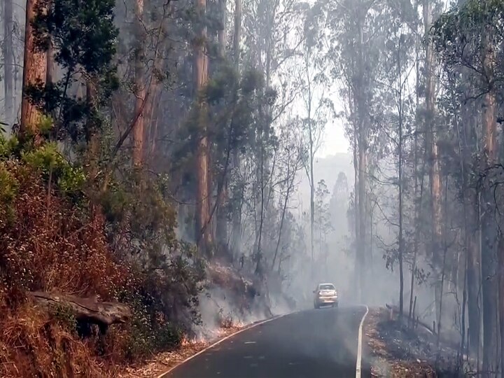 கொடைக்கானல் பிரையன்ட் பூங்காவில் பூத்துக் குலுங்கும் கேலண்டுல்லா மலர்கள்