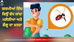 Health News: ਗਰਮੀਆਂ ਵਿੱਚ ਕਿਉਂ ਵੱਧ ਜਾਂਦਾ ਮਲੇਰੀਆ ਅਤੇ ਡੇਂਗੂ ਦਾ ਖ਼ਤਰਾ, ਜਾਣੋ ਕਿਵੇਂ ਕਰਨਾ ਆਪਣਾ ਅਤੇ ਪਰਿਵਾਰ ਦਾ ਬਚਾਓ