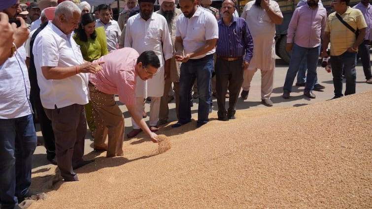 Till now 66.8 lakh metric tonnes of wheat reached the markets, more than 4 lakh farmers have been paid 9170 crores Chief Secretary ਸੂਬੇ ਭਰ ਵਿੱਚ ਹੁਣ ਤੱਕ 66.8 ਲੱਖ ਮੀਟਿਰਕ ਟਨ ਕਣਕ ਮੰਡੀਆਂ 'ਚ ਪੁੱਜੀ, 4 ਲੱਖ ਤੋਂ ਵੱਧ ਕਿਸਾਨਾਂ ਨੂੰ 9170 ਕਰੋੜ ਦਾ ਕੀਤਾ ਭੁਗਤਾਨ: ਮੁੱਖ ਸਕੱਤਰ