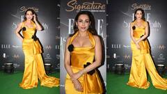 मलायका अरोराने पिवळ्या ड्रेसमध्ये दाखवली तिची फिगर; फोटो पाहाचं!