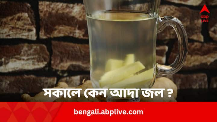 Ginger Water Benefits In Morning: কথায় বলে, আদা জল খেয়ে লেগে পড়। কিন্তু আদা জল খেলে কী কী উপকার পাওয়া যায় ? তৈরি করার উপায়ই বা কী!