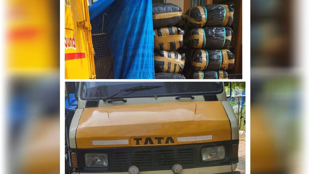 ஜனவரி முதல் ஏப்ரல் வரை இலங்கைக்கு கடத்த இருந்த 15 டன் பீடி இலைகள் பறிமுதல்