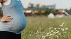 Dragon Fruit Benefits: নিজেকে নতুন করে ফিরে দেখতে চান ? ডায়াবেটিকদের জন্যও ড্রাগন ফলের জুড়ি মেলা ভার