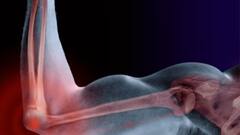 Dragon Fruit Benefits: নিজেকে নতুন করে ফিরে দেখতে চান ? ডায়াবেটিকদের জন্যও ড্রাগন ফলের জুড়ি মেলা ভার