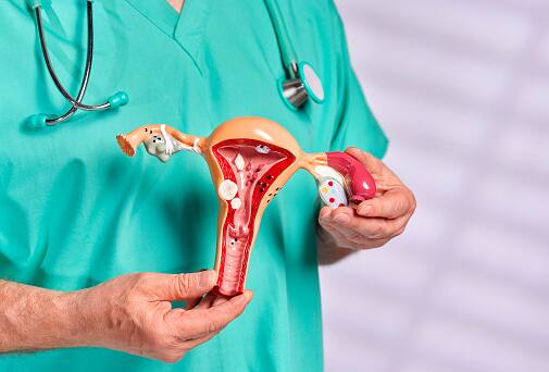 Underlying Health Conditions: Other health conditions such as endometriosis, uterine fibroids, or hormonal imbalances can also cause irregular periods and affect fertility. (Image Source: Getty)
