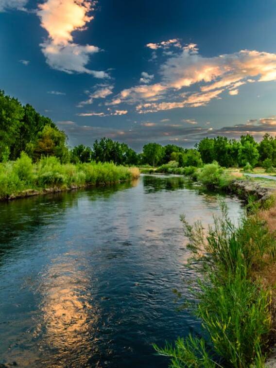 यमुना नदी की लंबाई और गहराई कितनी है?