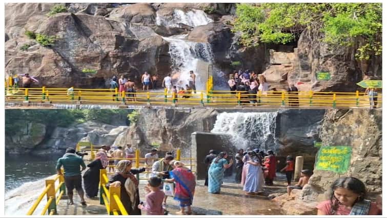 Tourists take bath in Manimuthar waterfalls after 4 months Manimutharu Falls: களைகட்டிய மணிமுத்தாறு அருவி: 4 மாதங்களுக்கு பின் அருவியில் குளித்து மகிழ்ந்த சுற்றுலா பயணிகள்