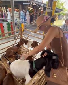 Jacqueline Fernandez PHOTO: પટાયામાં ફ્લોટિંગ બોટનો આનંદ માણતી જોવા મળી જેકલીન ફર્નાન્ડિઝ